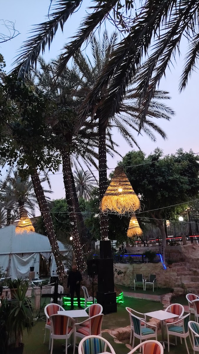 Café Charchara Photos 2